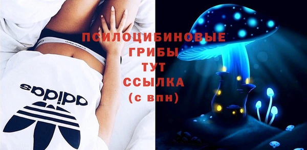 твердый Нефтегорск