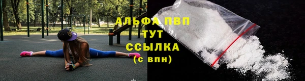 спиды Нефтекумск